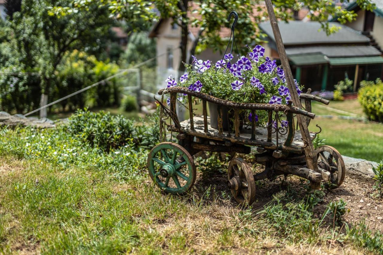 Avlija - Historic Gem Apartment ซาราเยโว ภายนอก รูปภาพ